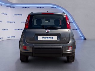 FIAT Panda 1.0 firefly hybrid city life s&s 70cv 3