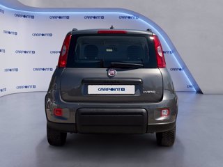 FIAT Panda 1.0 firefly hybrid city life s&s 70cv 3