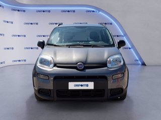 FIAT Panda 1.0 firefly hybrid city life s&s 70cv 7