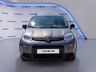 FIAT Panda 1.0 firefly hybrid city life s&s 70cv 7