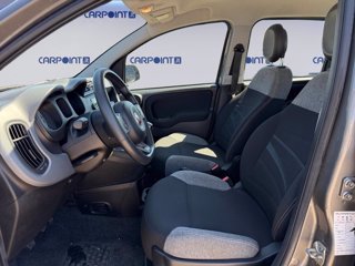 FIAT Panda 1.0 firefly hybrid city life s&s 70cv 8