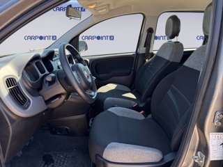 FIAT Panda 1.0 firefly hybrid city life s&s 70cv 8