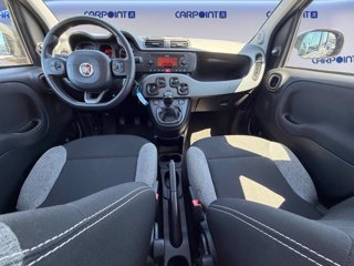 FIAT Panda 1.0 firefly hybrid city life s&s 70cv 9