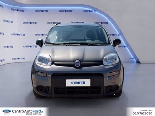 FIAT Panda 1.0 firefly hybrid city life s&s 70cv 7
