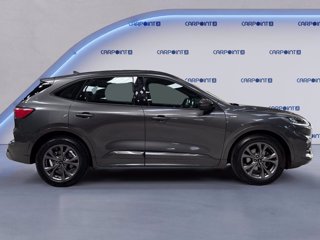 FORD Kuga 1.5 ecoblue st-line 2wd 120cv auto 5