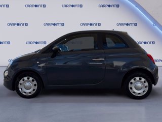 FIAT 500 1.0 hybrid cult 70cv 1