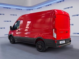 FORD Transit 350 2.0 tdci mhev 130cv trail l2h2 e6.2 3