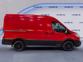 FORD Transit 350 2.0 tdci mhev 130cv trail l2h2 e6.2 6