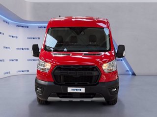 FORD Transit 350 2.0 tdci mhev 130cv trail l2h2 e6.2 8