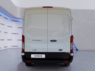 FORD Transit 310 2.0 tdci mhev 130cv trend l2h2 e6.2 3