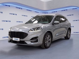 FORD Kuga 1.5 ecoblue st-line 2wd 120cv auto