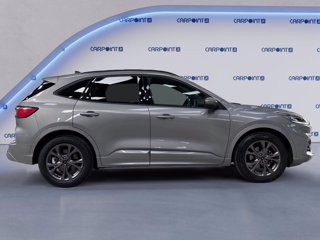 FORD Kuga 1.5 ecoblue st-line 2wd 120cv auto 5