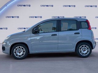 FIAT Panda 1.0 firefly hybrid city life s&s 70cv 1
