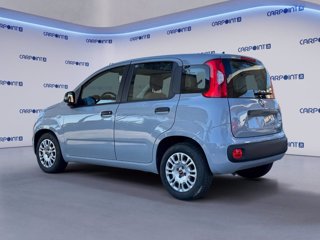 FIAT Panda 1.0 firefly hybrid city life s&s 70cv 2