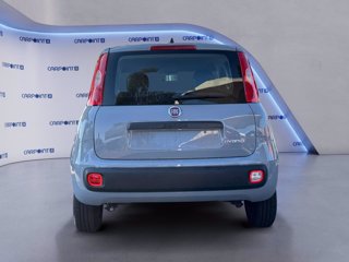 FIAT Panda 1.0 firefly hybrid city life s&s 70cv 3