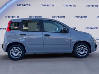 FIAT Panda 1.0 firefly hybrid city life s&s 70cv 5