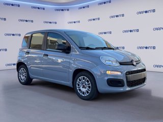 FIAT Panda 1.0 firefly hybrid city life s&s 70cv 6