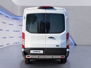 FORD Transit 330 2.0 tdci mhev 130cv trend l2h2 e6.2 4
