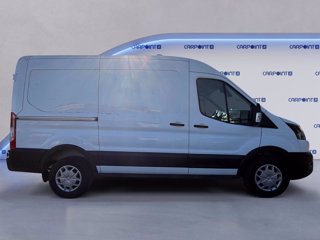 FORD Transit 330 2.0 tdci mhev 130cv trend l2h2 e6.2 6