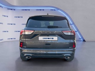 FORD Kuga 2.5 full hybrid st-line 2wd 190cv cvt 3