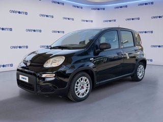 FIAT Panda 1.0 firefly hybrid city life s&s 70cv 5p.ti 0