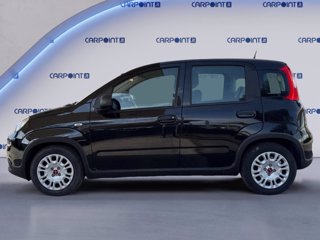 FIAT Panda 1.0 firefly hybrid city life s&s 70cv 5p.ti 1