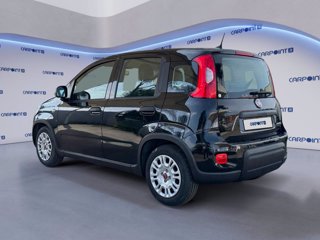FIAT Panda 1.0 firefly hybrid city life s&s 70cv 5p.ti 2
