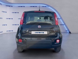 FIAT Panda 1.0 firefly hybrid city life s&s 70cv 5p.ti 3