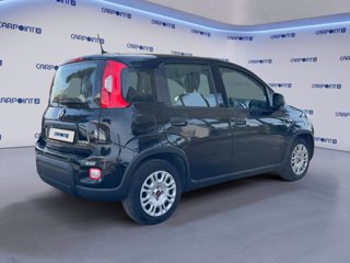 FIAT Panda 1.0 firefly hybrid city life s&s 70cv 5p.ti 4