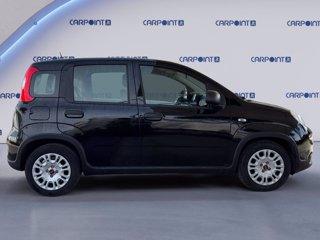 FIAT Panda 1.0 firefly hybrid city life s&s 70cv 5p.ti 5