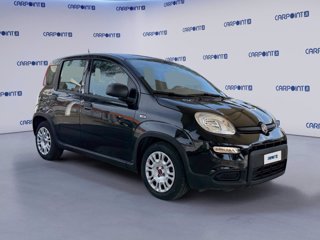 FIAT Panda 1.0 firefly hybrid city life s&s 70cv 5p.ti 6
