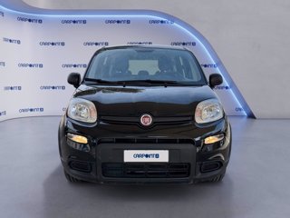FIAT Panda 1.0 firefly hybrid city life s&s 70cv 5p.ti 7