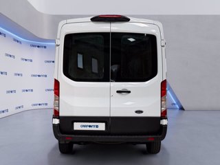 FORD Transit 330 2.0 tdci mhev 130cv trend l2h2 e6.2 4