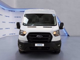 FORD Transit 330 2.0 tdci mhev 130cv trend l2h2 e6.2 8