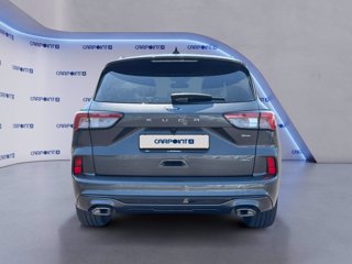 FORD Kuga 2.5 phev st-line x 2wd 225cv cvt 3