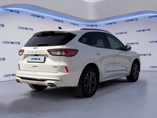 FORD Kuga 2.5 phev st-line x 2wd 225cv cvt 4