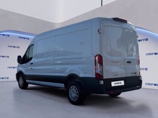 FORD Transit 330 2.0 tdci mhev 130cv trend l3h2 e6.2 3