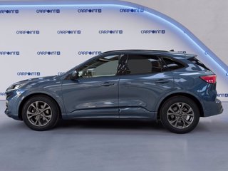 FORD Kuga 1.5 ecoblue st-line 2wd 120cv 1