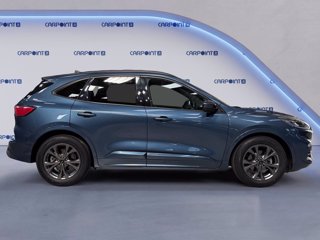 FORD Kuga 1.5 ecoblue st-line 2wd 120cv 5