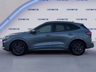 FORD Kuga 1.5 ecoblue st-line 2wd 120cv 1