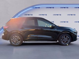 FORD Kuga 2.5 full hybrid st-line x 2wd 190cv cvt 5