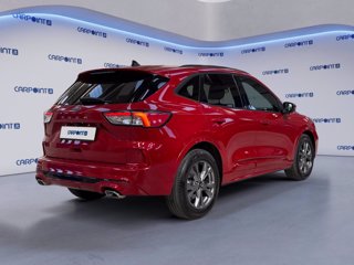 FORD Kuga 2.0 ecoblue st-line 2wd 120cv auto 4