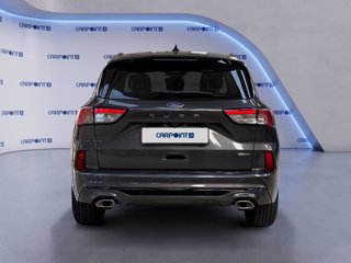 FORD Kuga 2.5 full hybrid st-line 2wd 190cv cvt 3