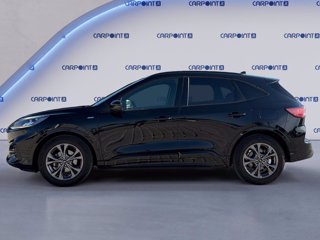 FORD Kuga 1.5 ecoblue st-line x 2wd 120cv auto 2