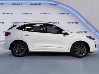 FORD Kuga 2.5 full hybrid st-line x 2wd 190cv cvt 5