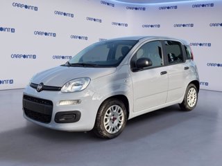 FIAT Panda 1.0 firefly hybrid city life s&s 70cv 0