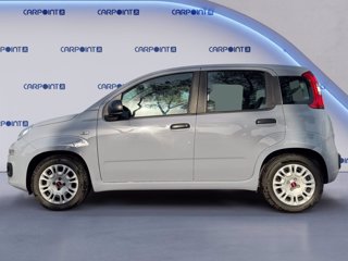 FIAT Panda 1.0 firefly hybrid city life s&s 70cv 1