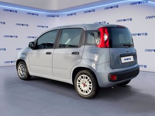 FIAT Panda 1.0 firefly hybrid city life s&s 70cv 2