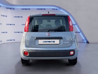 FIAT Panda 1.0 firefly hybrid city life s&s 70cv 3