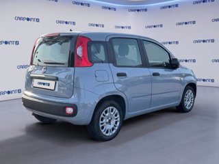 FIAT Panda 1.0 firefly hybrid city life s&s 70cv 4